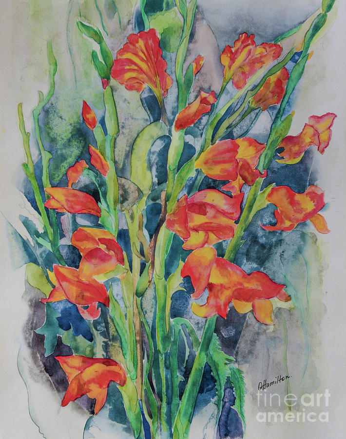 Gladiolus Flowers Watercolor Painting by Olga Hamilton