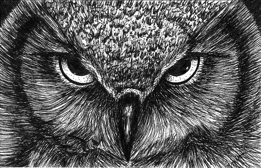 22+ Drawing Owl Face Pics