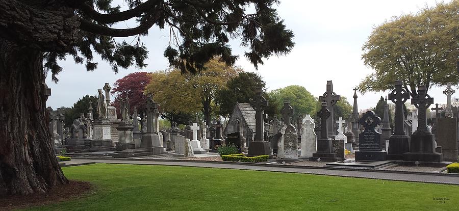 Glasnevin Cemetary Photograph by Judith Rhue