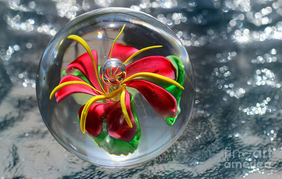 Glass Flower on Ice Photograph by Karen Adams
