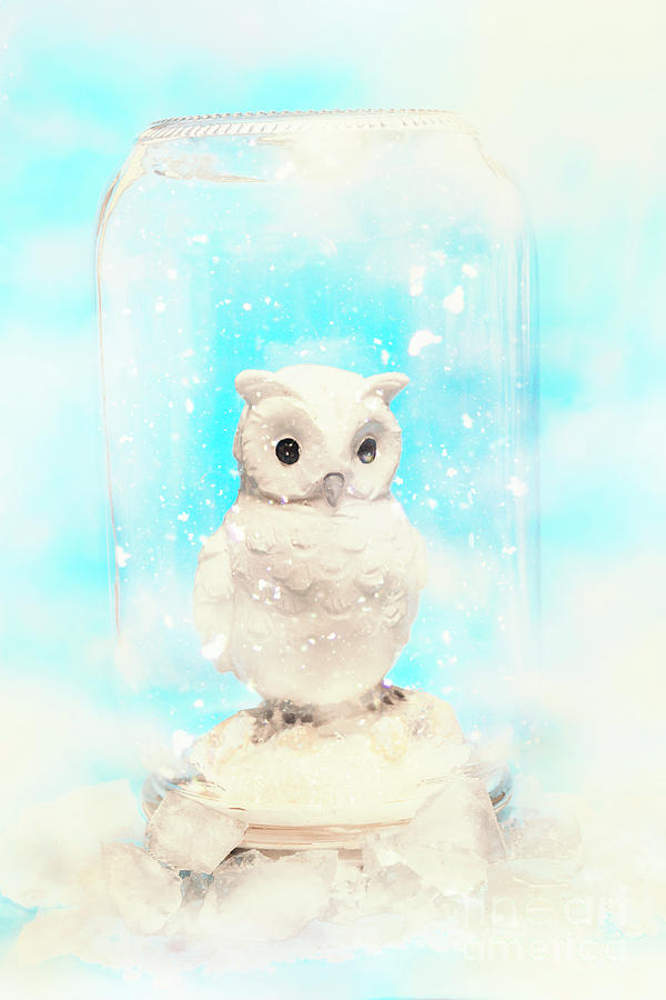 Glass jar winter owl Photograph by Jorgo Photography