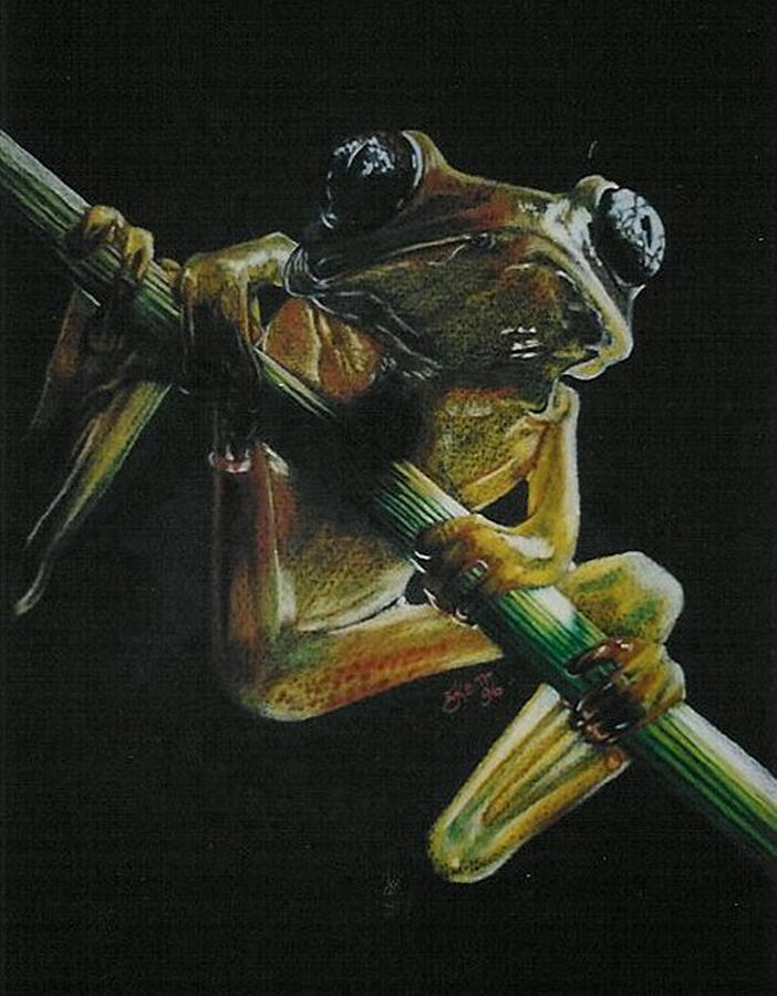 Glass Large-eyed Frog Drawing by Barbara Keith