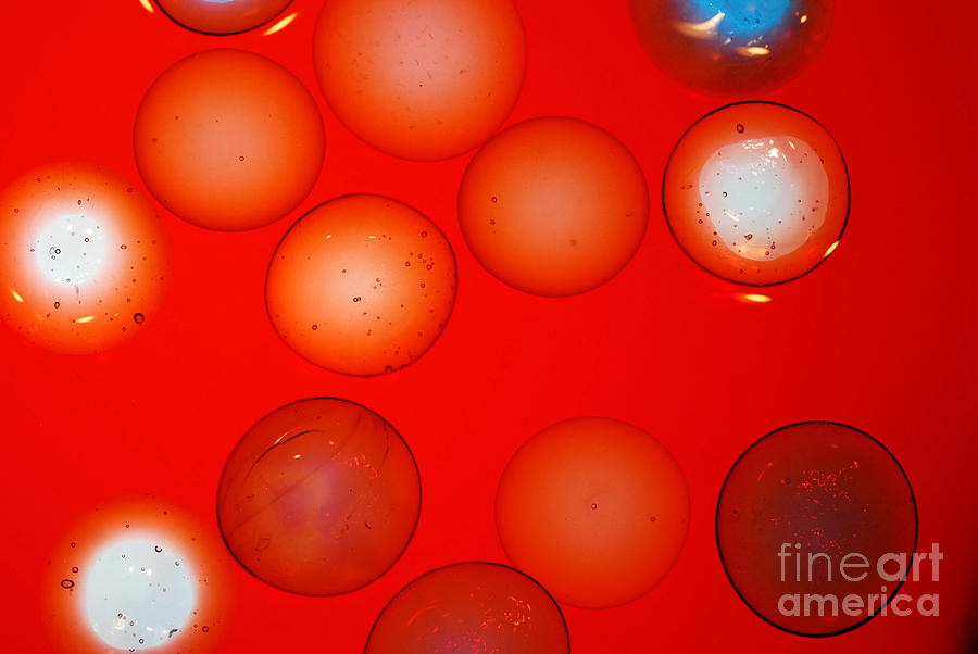 Abstract Photograph - Glass Marbles in Red Water by Nancy Mueller