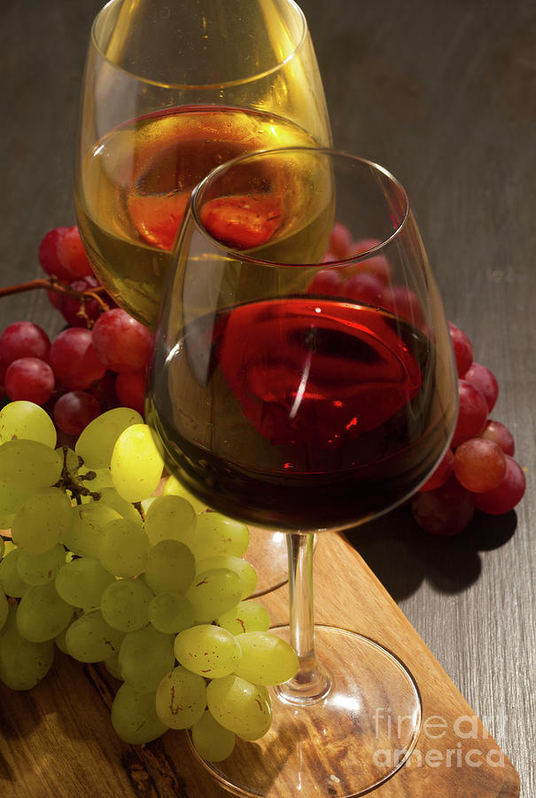 Red and White Wine Photograph by Anastasy Yarmolovich