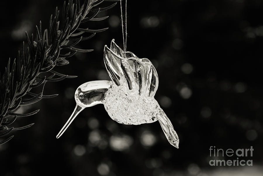 Glass Ornament in the Snow No. 2 Photograph by Kevin Gladwell