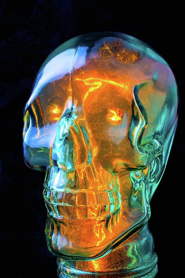 Glass Skull Photograph by Garry Gay