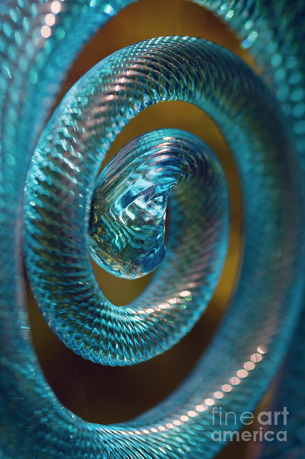 Glass Snake Sculpture Coiled  Photograph by Jim Corwin