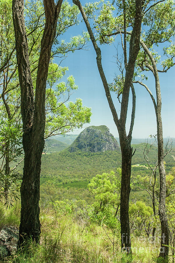 Glasshouse Mountains Photograph by Werner Padarin