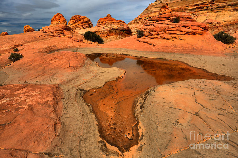 Glassy Desert Reflections Photograph by Adam Jewell