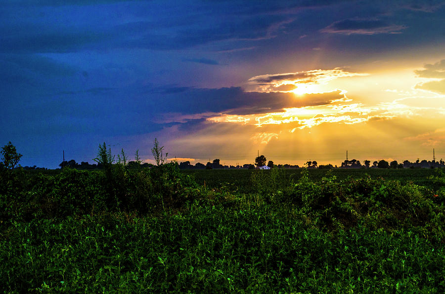 Gleaming Sunset Over Missouri Field Photograph by Deborah Smolinske