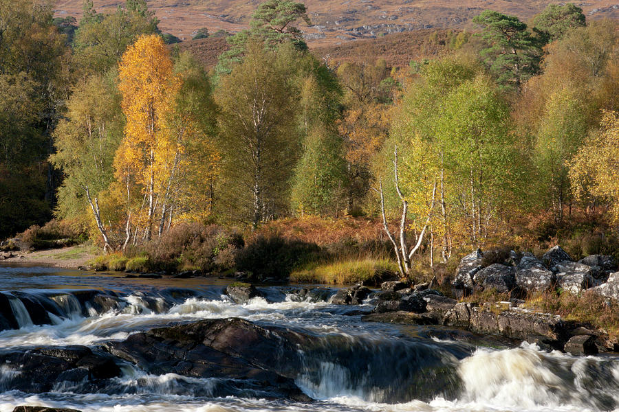 Glen Affric in Autumn by Karen Van Der Zijden Glen Affric in Autumn by Karen Van Der Zijden