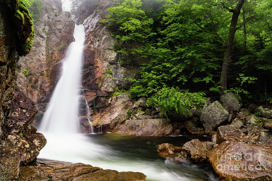 Glen Ellis Falls, Jackson, New Hampshire Photograph by Dawna Moore Photography