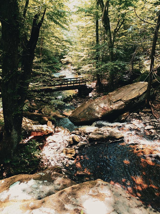 Glen Leigh Creek Photograph by Shelley Smith | Fine Art America