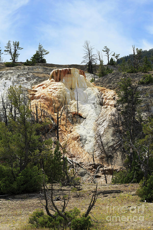 Glen Spring at Mammoth Hot Springs Upper Terraces Photograph by Louise Heusinkveld