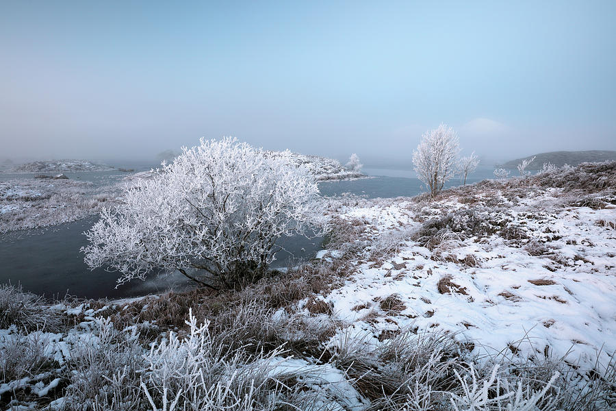 Rannoch Moor Winter Mist Photograph by Grant Glendinning