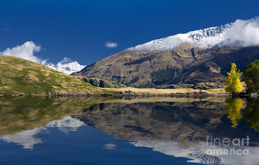 Mountain Photograph - Glendhu Bay at Lake Wanaka New Zealand with Mt Aspiring in backgr by Sheila Smart Fine Art Photography