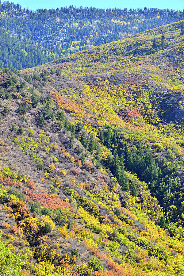 Glenwood Canyon Fall Colors Photograph by Ray Mathis