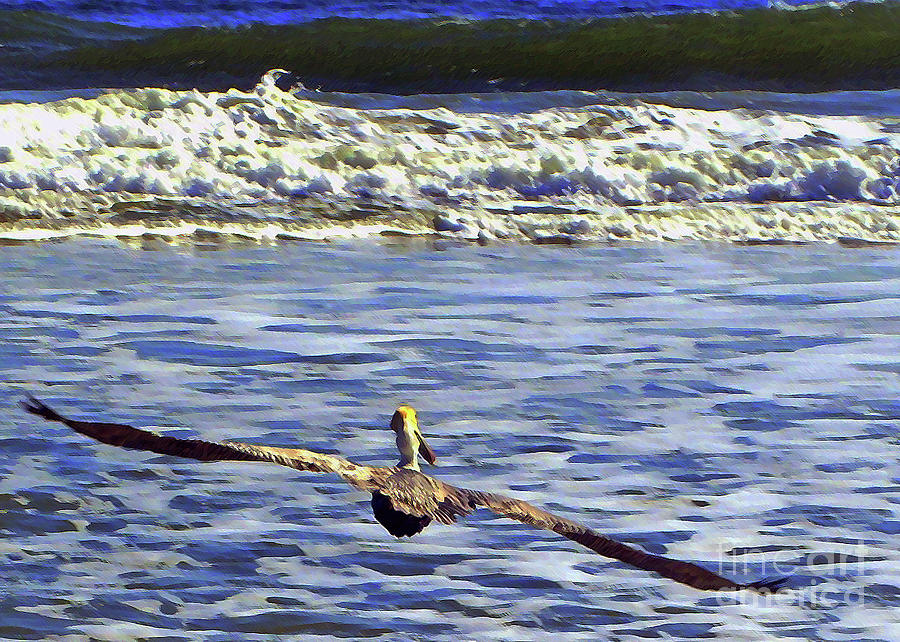 Glide Against The Tide Photograph by Lydia Holly