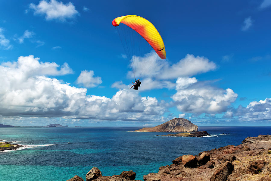 Gliding Over Makapuu Photograph by Susan Rissi Tregoning