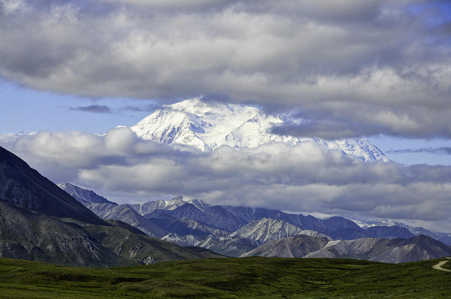 Glimpse of Denali Photograph by Phyllis Taylor