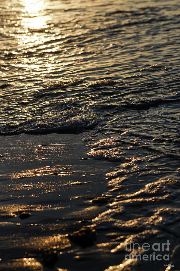 Glistening Beach Morning Photograph by Jennifer White