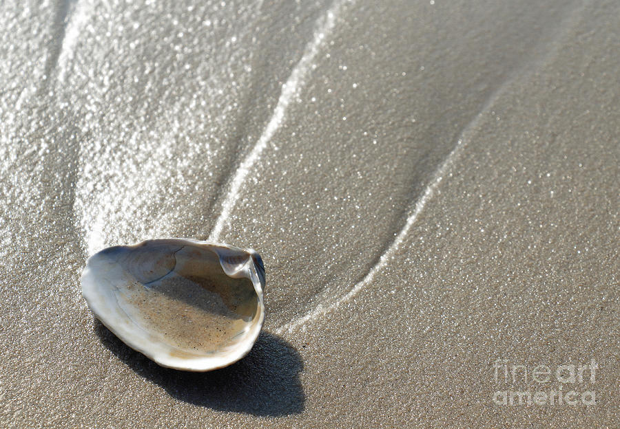 Glistening Sand Photograph by Mary Haber