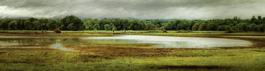 Glistening Wetland Photograph by Don Schwartz