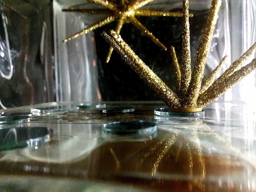 Glitz and Glamour by Delvon Glitz and Glamour by Delvon