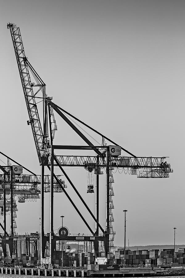 Global Containers Terminal Cargo Freight Cranes BW Photograph by Susan Candelario