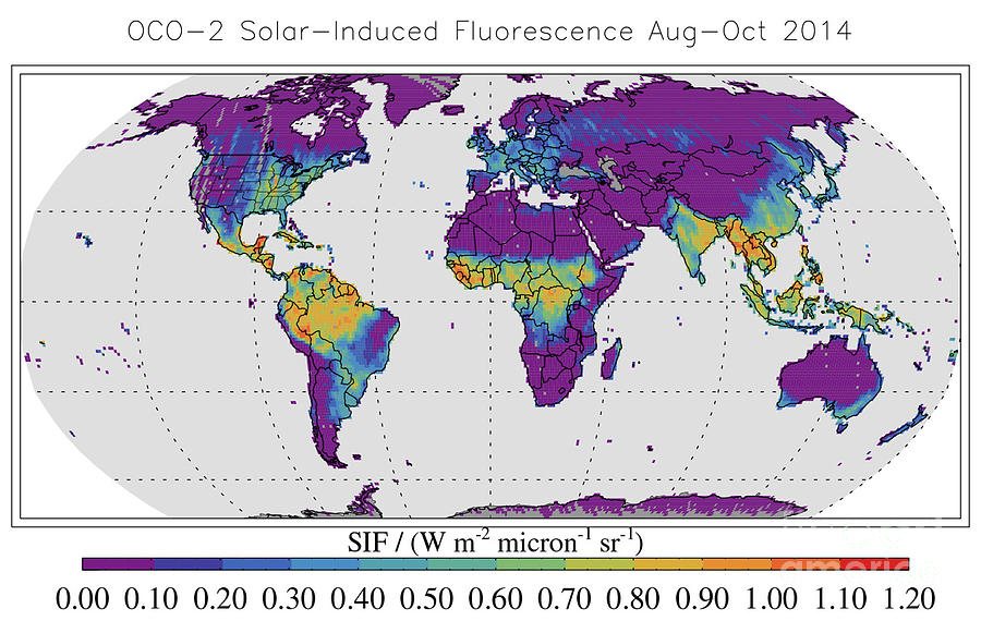 Global Solar-induced Fluorescence Photograph by Science Source