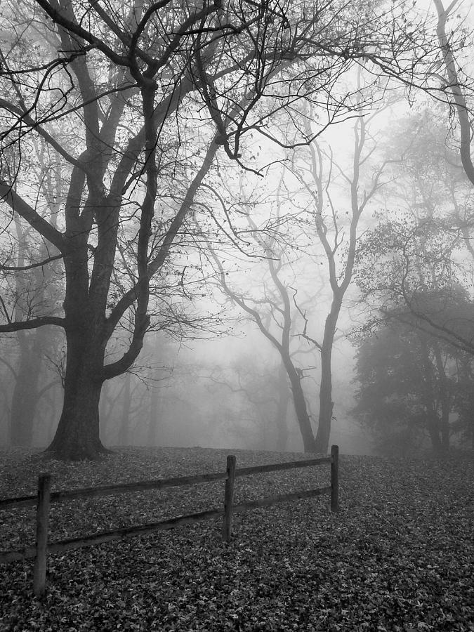 Gloomy Photograph by Michael Hills