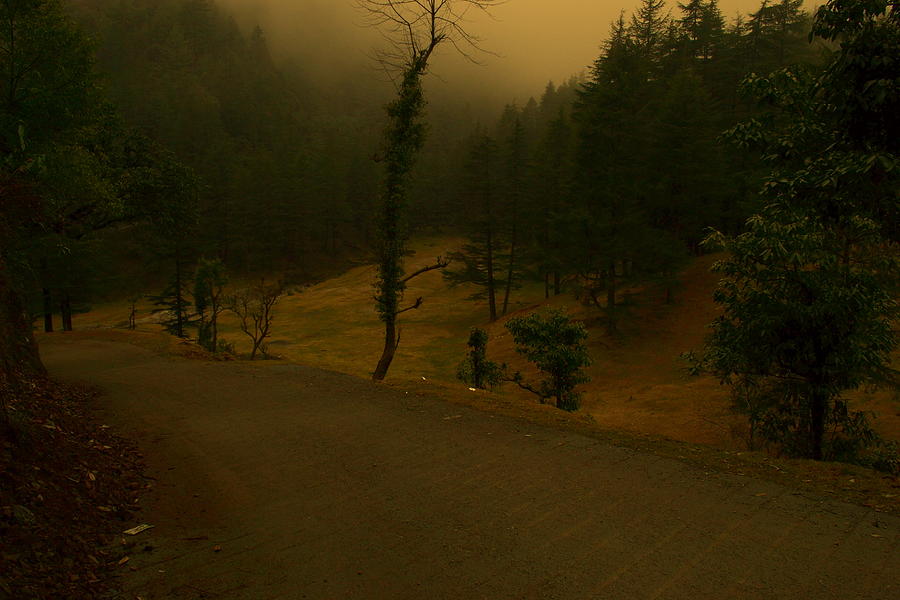 Gloomy day Photograph by Salman Ravish