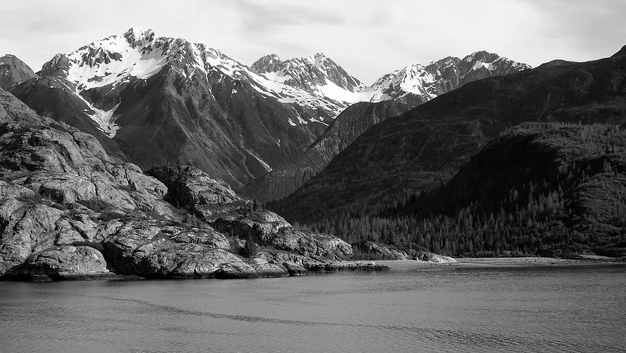 Tidal Inlet in Glacier Bay  Black and White Photograph by Judy Wanamaker
