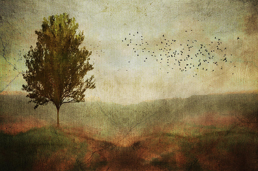 Gloomy Meadow by Paul Bartell Gloomy Meadow by Paul Bartell