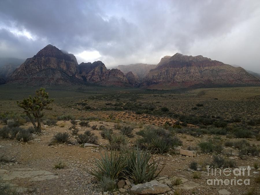 Gloomy Red Rock Desert Nevada Photograph by Jennifer E Doll
