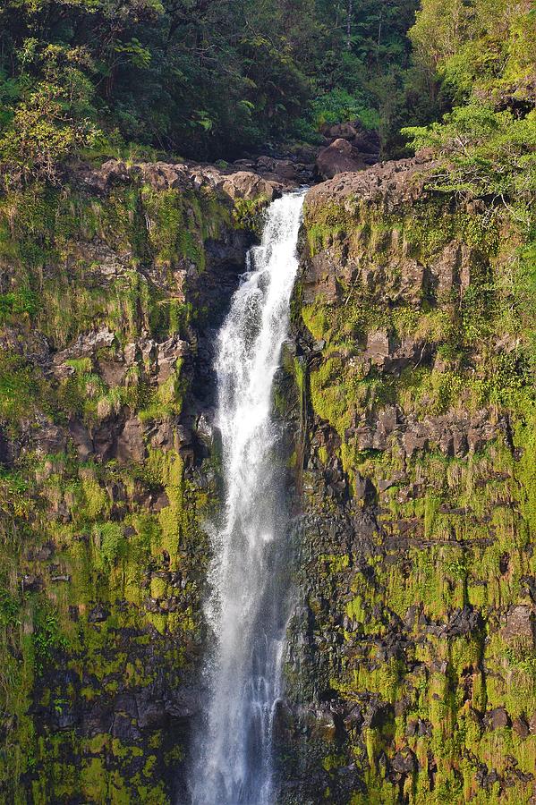 Glorious Akaka Falls Photograph by Heidi Fickinger