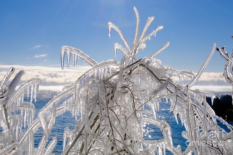 Glorious Ice Photograph by Sandra Updyke