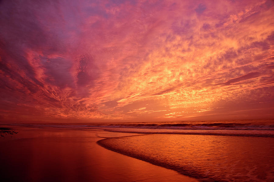 Beach Photograph - Glorious Morn by Dan Myers