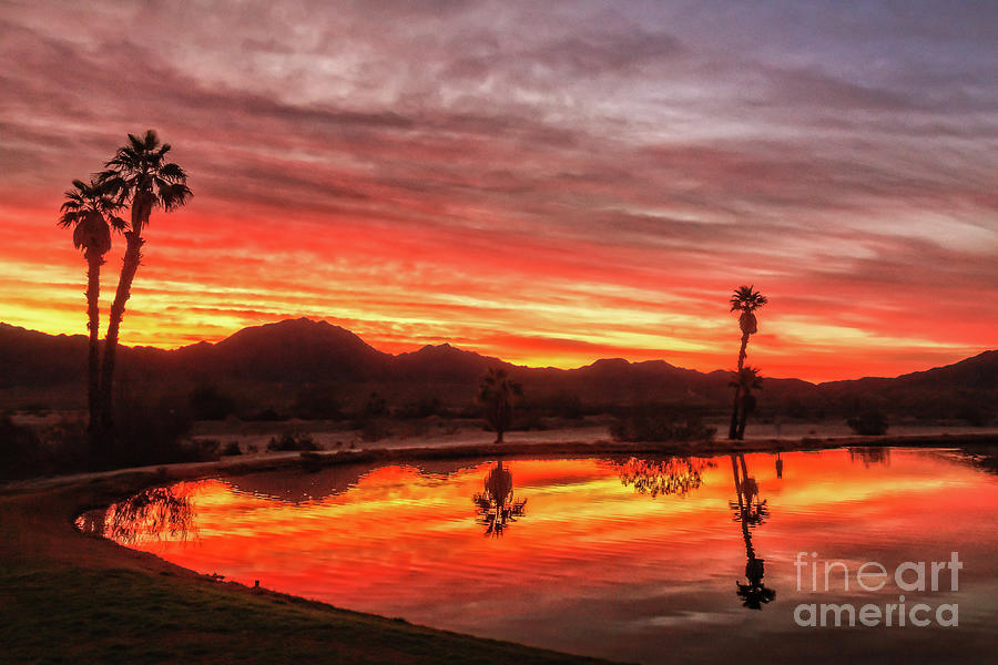 Sunset Photograph - Glorious Morning by Robert Bales