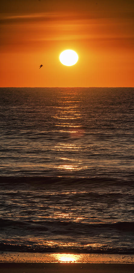 Glorious Ocean Sunrise Photograph by Jim Moore