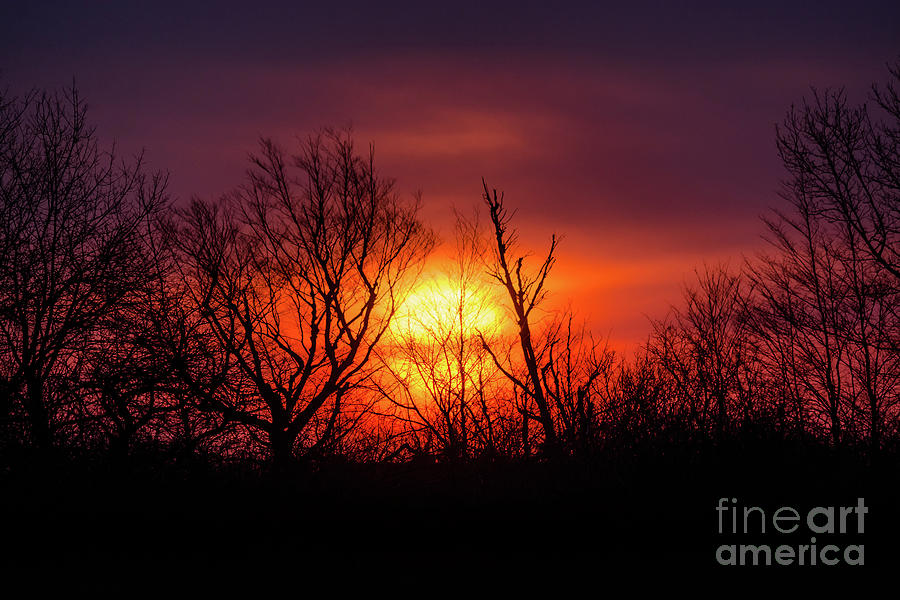 Glorious Sunrise Photograph by Cheryl Baxter