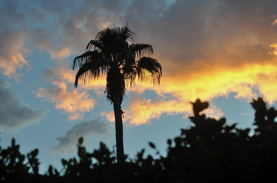 Glorious Sunrise Over Palm Desert Photograph by Jay Milo
