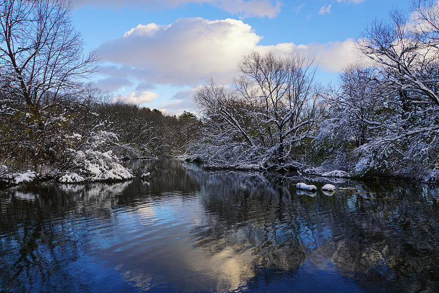 Glorious Winter Day Photograph by Rachel Cohen