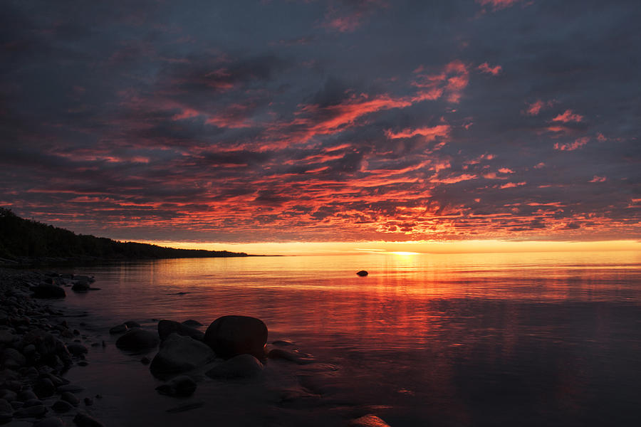 Glory glory Photograph by Angela King-Jones - Fine Art America