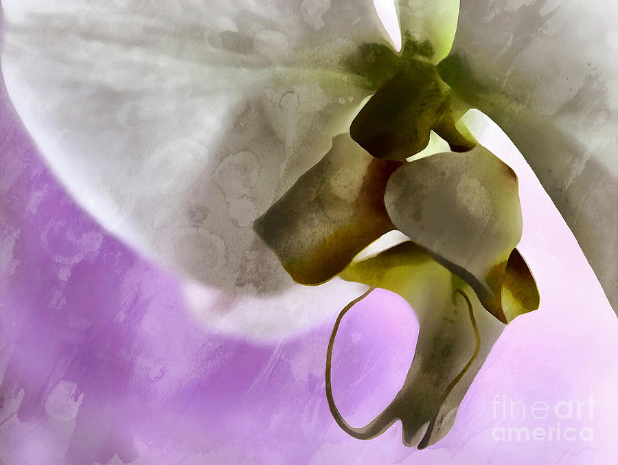 Orchid Photograph - Glory Of Hope by Krissy Katsimbras