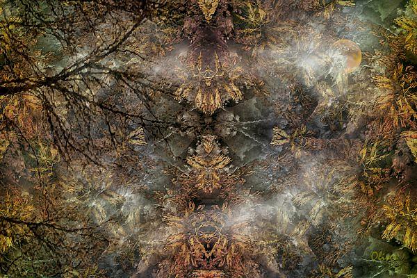 Surrealism Mixed Media - Glory Of Nature by Charles Oliver Surrealism Mixed Media - Glory Of Nature by Charles Oliver