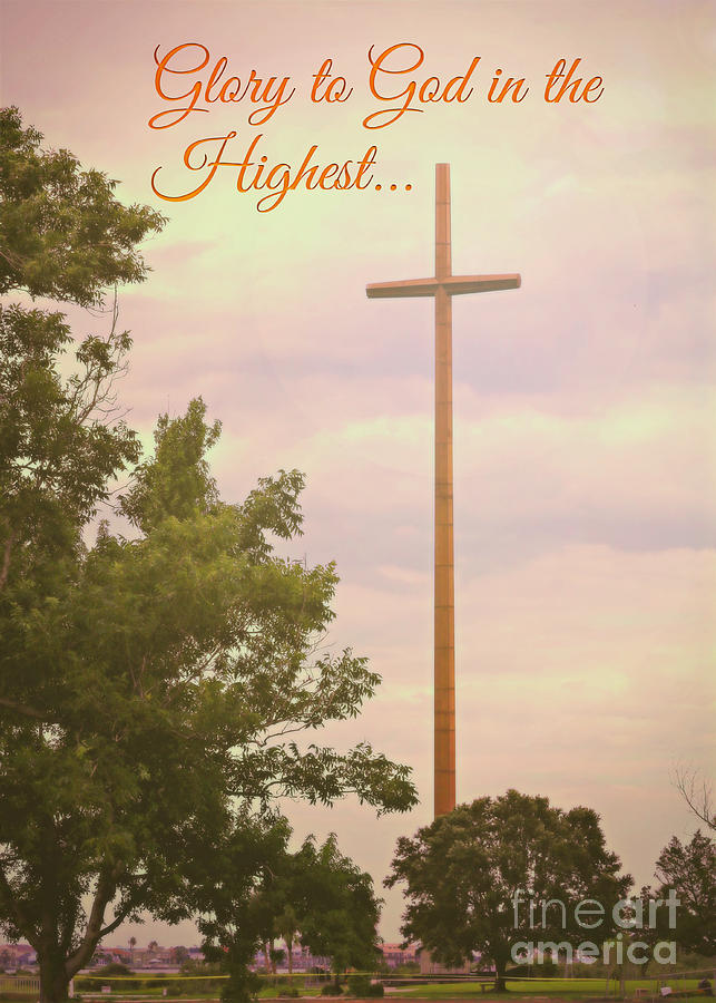Nature Photograph - Glory To God In The Highest by Diann Fisher