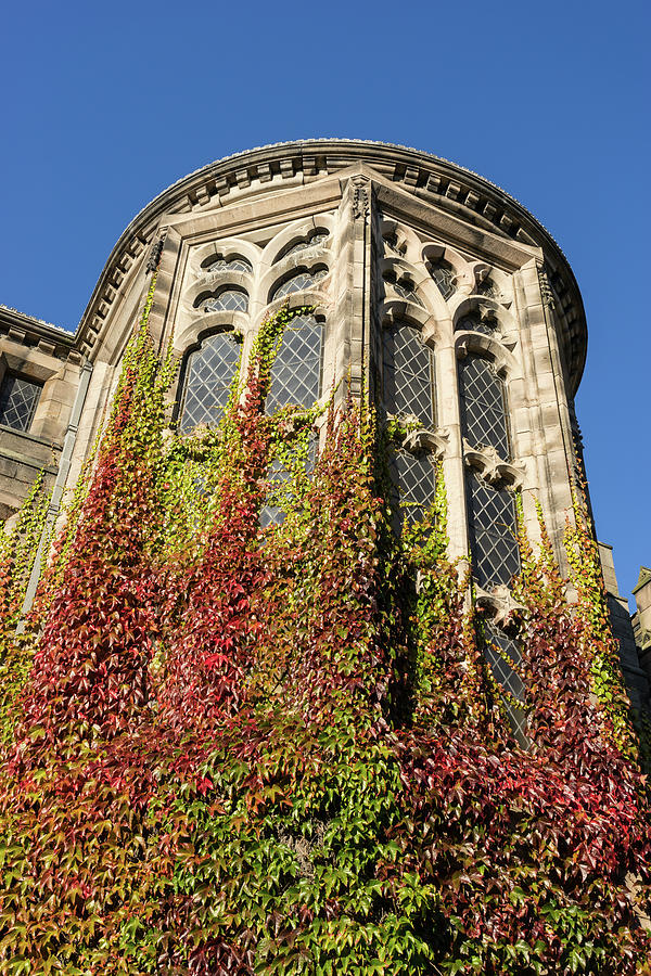 Glossyglossy Glamorous Colors Of Fall - Olden Round Tower Covered In Five-leaved Ivy Photograph