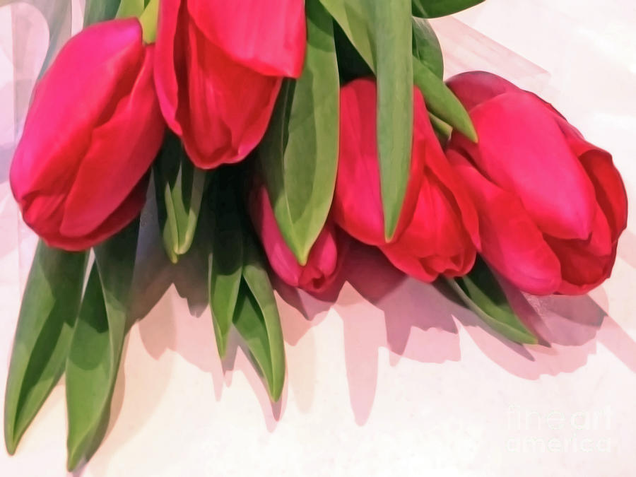 Glossy Tulips Photograph by Jasna Dragun