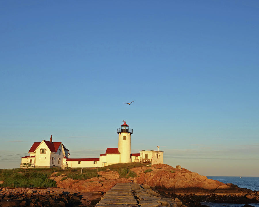 Gloucester MA Seagull over the Eastern Point Lighthouse Photograph by Toby McGuire